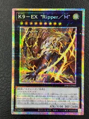 2026年最新】リッパー プリシクの人気アイテム - メルカリ