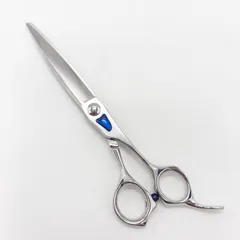 2026年最新】トギノン マリンシャークの人気アイテム - メルカリ