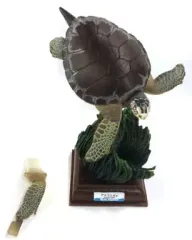 【中古】トレーディングフィギュア 02 アオウミガメ(カメ吉) 「ネイチャーテクニカラー 鳥羽水族館立体コレクション3 人魚の海・コーラルリーフダイビング」