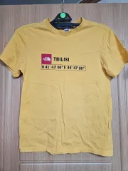 THE NORTH FACE ザノースフェイス ジョージア Tbilisi エディション Tbilisi 半袖 Tシャツ 黄色