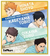 【中古】紙製品 集合A 「ハイキュー!! トレーディングミニ色紙 ～レシーブ～」