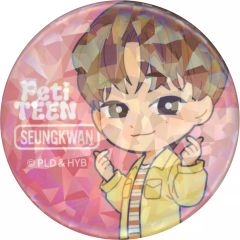 [중고] 배지 핀스 승관 [키랏과 CAN 배지 PetiTEEN from SEVENTEEN]