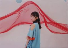 Item thumbnail for item 96fd9f6d-b207-4e12-94bf-a5167dcc9e17