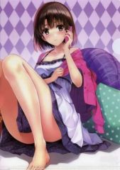 [중고] 클리어 파일 카토 메구미 특제 A4 클리어 파일 [라이트 노벨 그리워하지 않는 그녀의 기르는 방법 11/드래곤 매거진 2017년 1월호] 토라노아나 동시 구입 특전