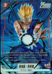 FB08-012 孫悟飯:青年期