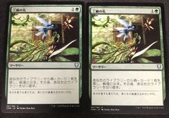 ウォーハンマー40,000 禍つ神々の力 Collector's Edition 英)ウォーハンマー40,000統率者デッキ「禍つ神々の力」 Collector's