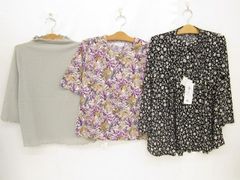 Item thumbnail for item 5de40bb3-eaab-4846-8a05-aa828d1e2332