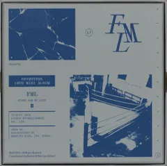 SEVENTEEN FIGHT FOR MY LIFE ver. FML 灰色