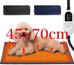 Item thumbnail for item 8ca5c01c-3813-486a-9433-d5e5d8dc13cf