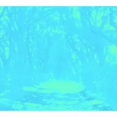 【中古】洋楽CD ファクトリー・フロア / JPN