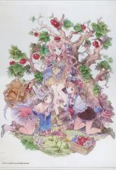 アトリエシリーズ トトリのアトリエ ロロナのアトリエ 特大 