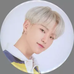 【中古】バッジ・ピンズ ホシ BIG PIN BUTTON(缶バッジ) 「2020 SVT 4th FAN MEETING SEVENTEEN in CARAT LAND」