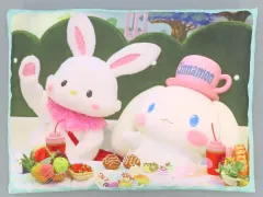 【中古】クッション・抱き枕・本体 シナモロール＆ウィッシュミーメル ビジュアルクッション 「サンリオキャラクターズ サンリオピューロランド限定オリジナルくじ Vol.1」 A賞