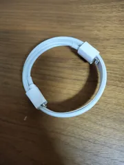 未使用 Apple純正 Type-C Lightningケーブル