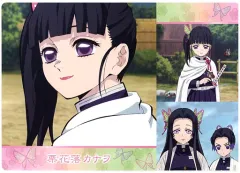 【中古】下敷き 栗花落カナヲ＆胡蝶しのぶ＆胡蝶カナエ B5下敷き 「無添くら寿司×鬼滅の刃 2021」 プレゼントキャンペーン特典 第5弾