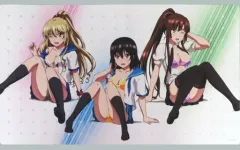 2026年最新】ストライクザブラッド プレイマットの人気アイテム - メルカリ