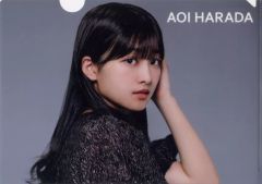 Item thumbnail for item 3fd8f741-83d4-4b4b-8930-0fb0828876b7