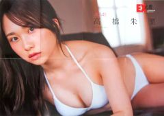 Item thumbnail for item 5ff86fc1-2b24-4f54-b6f9-fb7c23af55ad