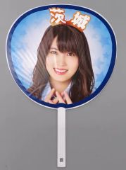 Item thumbnail for item 3d76e2b0-dd4f-4961-a398-c3d0398f2213