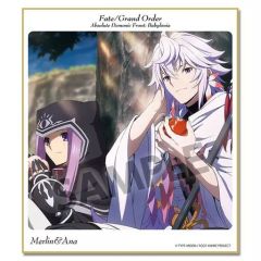 [중고] 종이 제품 마린 & 아나 [Fate/Grand Order - 절대 마수 전선 바빌로니아- 트레이딩 미니 색종이 vol.1]