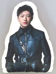 ジェ猫 GENERATIONS 佐野玲於 ダイカットクッション - メルカリ