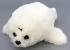 【中古】ぬいぐるみ アザラシ ぬいぐるみ（S） 「海遊館限定」のサムネイル