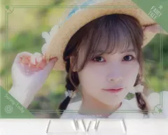 【中古】アクリルスタンド・アクリルパネル Liyuu A4アクリルボード Sunny-Lady 「Dearest Card Collection VOL.01 Liyuu『FAIRY TALE』」 ラウンドワン限定