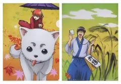 【中古】クリアファイル [単品]神楽＆定春/志村新八 A4クリアファイル 「一番くじ 銀魂～かぶき町の愉快な仲間と悪党ども～」 H賞