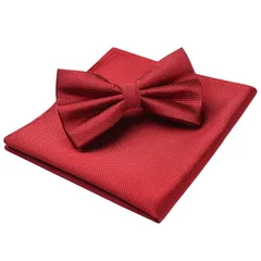 [HISDERN] 蝶ネクタイ メンズ 赤 結婚式 チーフ セット ペイズリー柄 おしゃれ 無地 ボウタイ 花柄 ブランド プレゼント BR-01