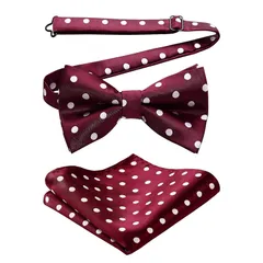 [HISDERN] 赤 蝶ネクタイ メンズ 結婚式 大人 ワンタッチ ポケットチーフ セット 水玉 ドット おしゃれ ボウタイ ビジネス フォーマル ブランド 高級 礼服 プレゼント 男性 BR-02
