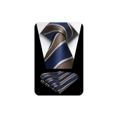 [HISDERN] ネクタイ メンズ ストライプ ネイビー ネクタイ チーフ セット プレゼント ブランド品 ビジネス 就活 就職用 HTS1399V18S