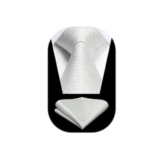 [HISDERN] ネクタイ 結婚式 おしゃれ ネクタイメンズ チーフ セット 白 フォーマル 婚礼用 ブランド 礼服用 慶事用 成人式 HC-04