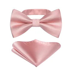 [HISDERN] 蝶 ネクタイ 大人 メンズ 無地 結婚式 蝶ネクタイ チーフ セット ワンタッチ ボウタイ 絹 シルク ピンク ストライプ ちょうねくたい簡単着脱 入学式 披露宴 パーティー BR-03