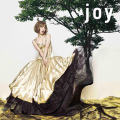 レコード 完全生産限定 アナログ盤 joy Wave YUKI メガジャケ付き レコード 完全生産限定 アナログ盤 joy Wave YUKI メガジャケ付き