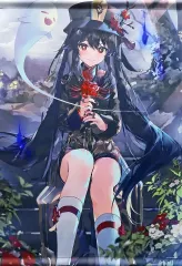 2026年最新】そらねこよほう タペストリーの人気アイテム - メルカリ