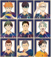 【中古】紙製品 全9種セット 「ハイキュー!! TO THE TOP トレーディング Ani-Art 第4弾 ミニ色紙」