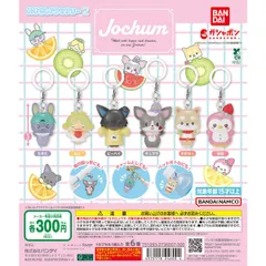 JOCHUM めじるしアクセサリー2 [全6種セット(フルコンプ)] ガチャガチャ カプセルトイ