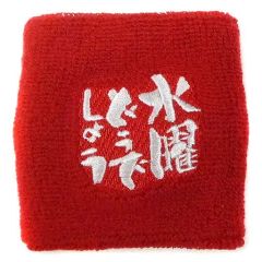 [중고] 액세서리(비금속)(남성) 팔찌(레드) [수요일 어때요 축제 UNITE 2013 in 삿포로 마코마나이 세키스이하임 아이스 아레나 & 오픈 스타디움]