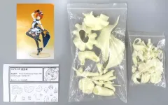 【中古】フィギュア 星空凛 「ラブライブ!」 ガレージキット ワンダーフェスティバル2017冬＆イベント限定のサムネイル