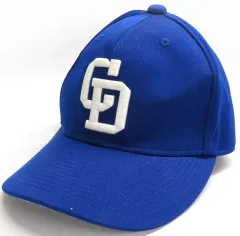 2026年最新】中日 プロモデルの人気アイテム - メルカリ