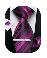[DiBanGu] 結婚式 ネクタイ パープルピンクストライプ ネクタイ タイピン セット メンズ フォーマル 入学式 ビジネス