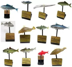【中古】トレーディングフィギュア 全12種セット 「原色海水魚図鑑 III」のサムネイル