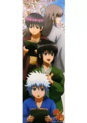 【中古】ポスター 集合 「銀魂’ キャラポスコレクション 第9弾」 アニメイトBOX購入特典