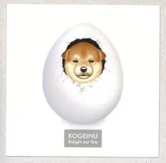 【中古】同人音楽CDソフト Relight our fire. KOGEINU / MOVE ON ENTERTAINMENT