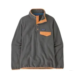 パタゴニア ライトウェイト シンチラ フリース ウィメンズ