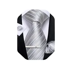 [DiBanGu] ネクタイ 結婚式 シルバー ビジネス ネクタイ ポケットチーフ タイクリップ セット ギフトボックス付き 就活 入学式