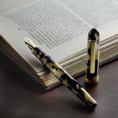 新品未使用 PLATINUM プラチナ万年筆 #3776 センチュリー セルロイド