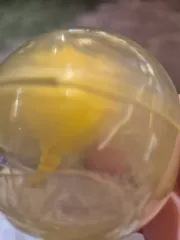 ジョジョコレ ジョジョWORLD ガチャ ジョルノ・ジョバナ フィギュア 未開封