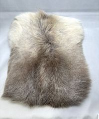 Item thumbnail for item 75314e33-b8b8-41a5-86d9-6293b8fd7dd5