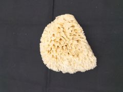 Item thumbnail for item bf2b7801-c054-4a31-bd43-02c34cf7844e